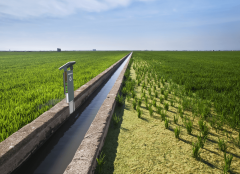 四风雅案解析：聪慧农业若何打制低成本