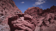 教师告退创业发布全地形六爪机械人爆红