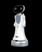 2025年仿实机械人品牌深度保举：尖端AI交